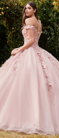 Formal dress - Picture 5 of 8